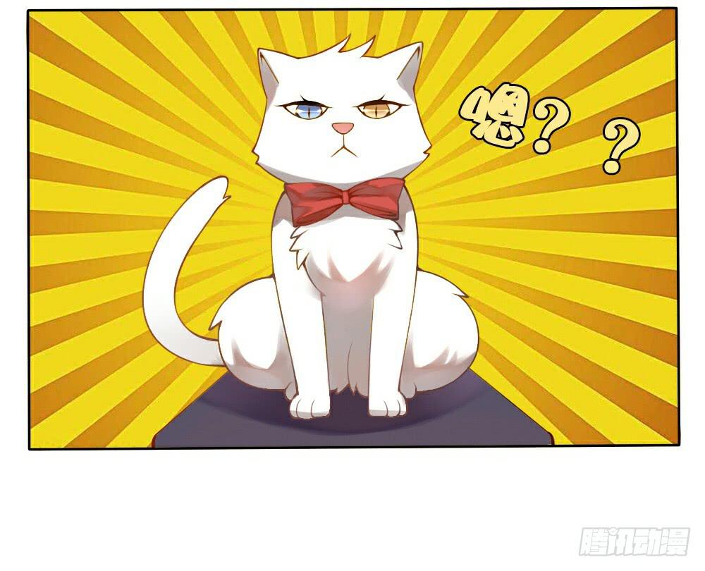 黑猫白猫-第3话