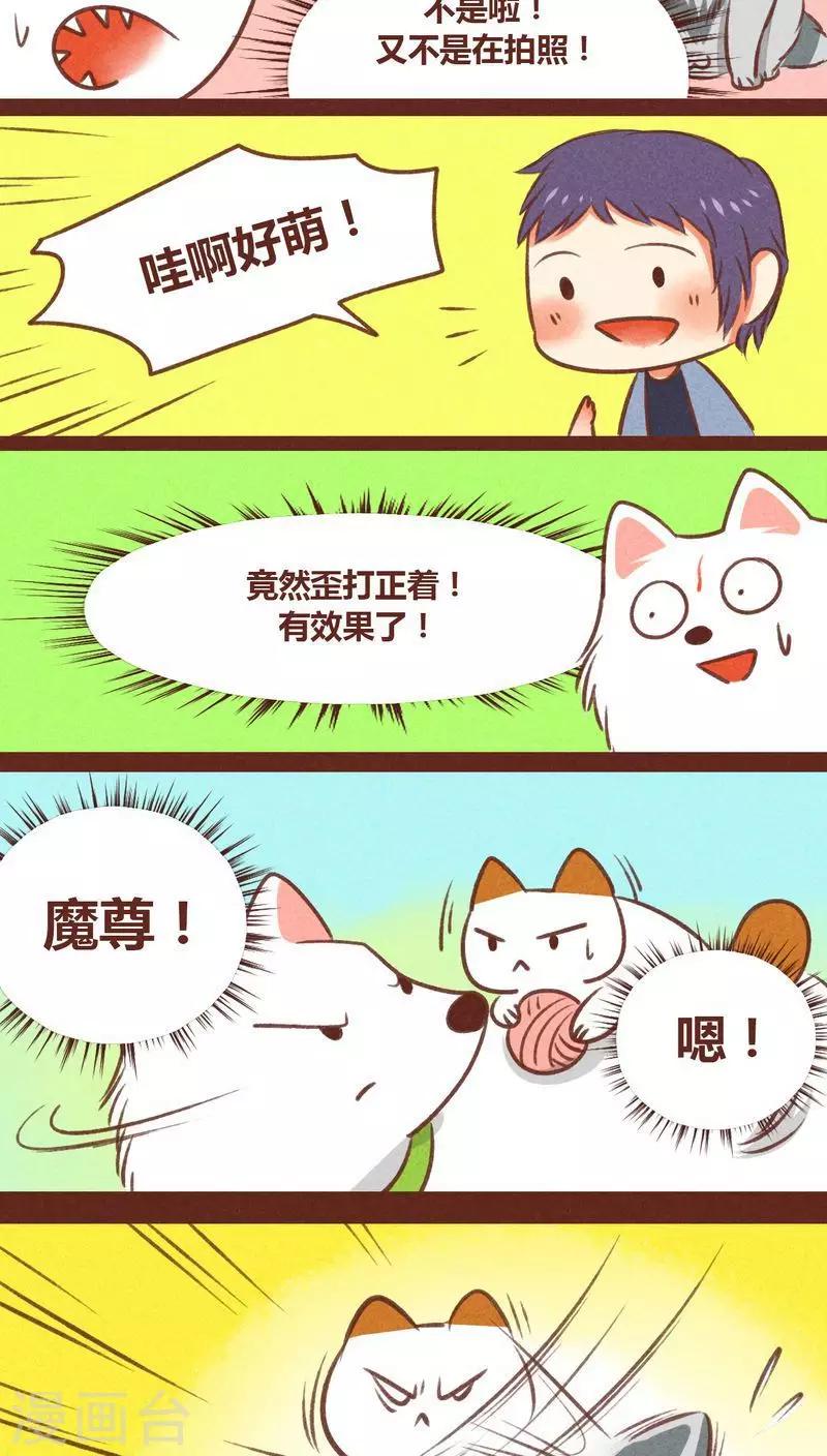 第30话 背后眼-第31话