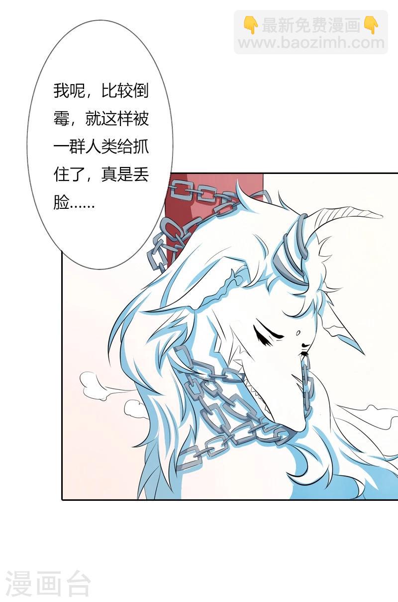 第33话 前世今生-第37话