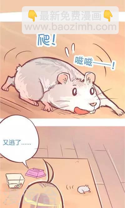 第8话2 仓鼠篇-第31话