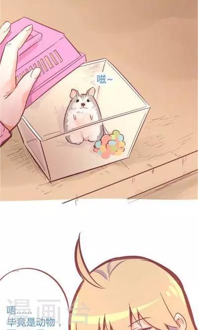 第8话2 仓鼠篇-第31话