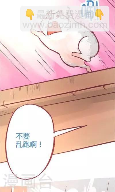 第8话2 仓鼠篇-第31话