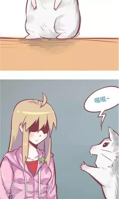 第8话4 仓鼠篇-第33话