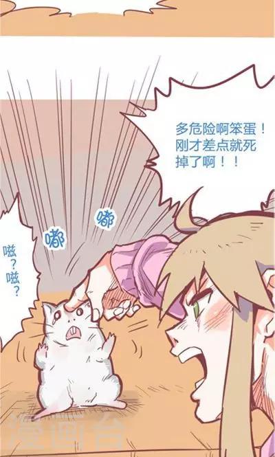 第8话4 仓鼠篇-第33话