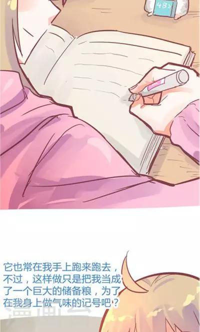 第8话4 仓鼠篇-第33话