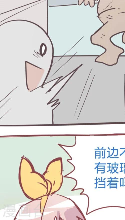 第12话3 吱吱侠的真身-第63话