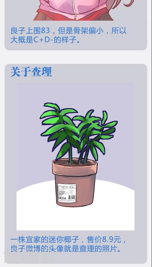 番外9 档案特辑-第83话