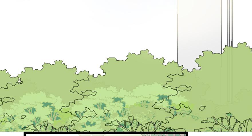 第二十五话(1/2)-第27话