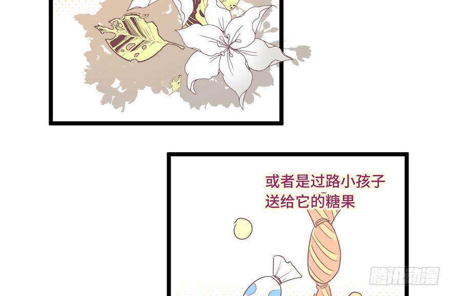 第二十九话(1/2)-第31话