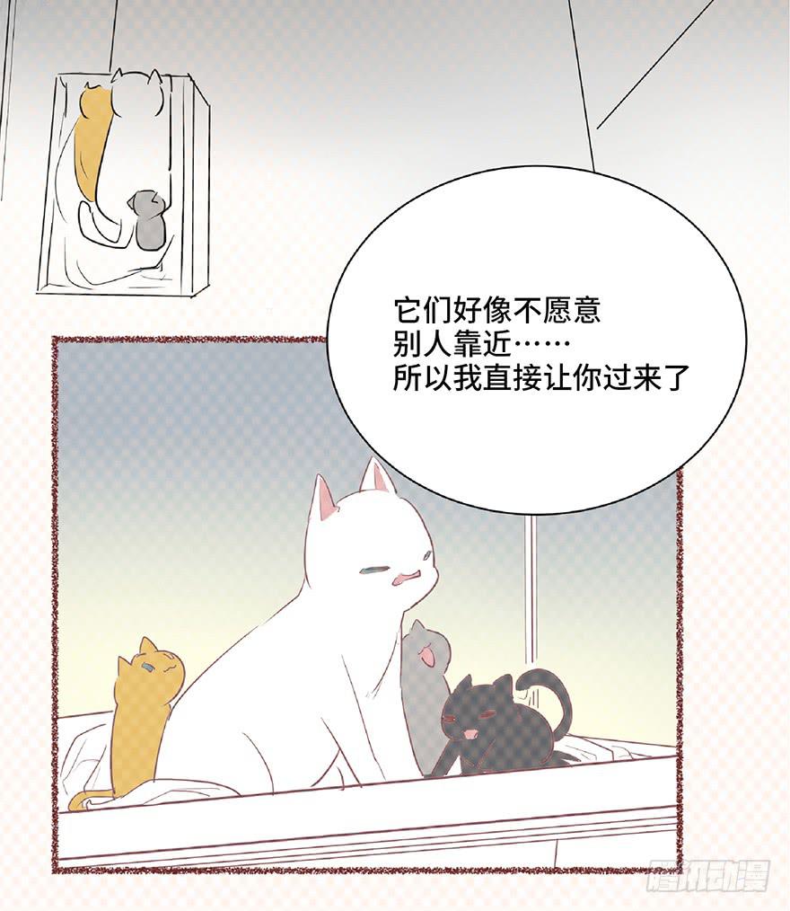 第八话(1/2)-第9话