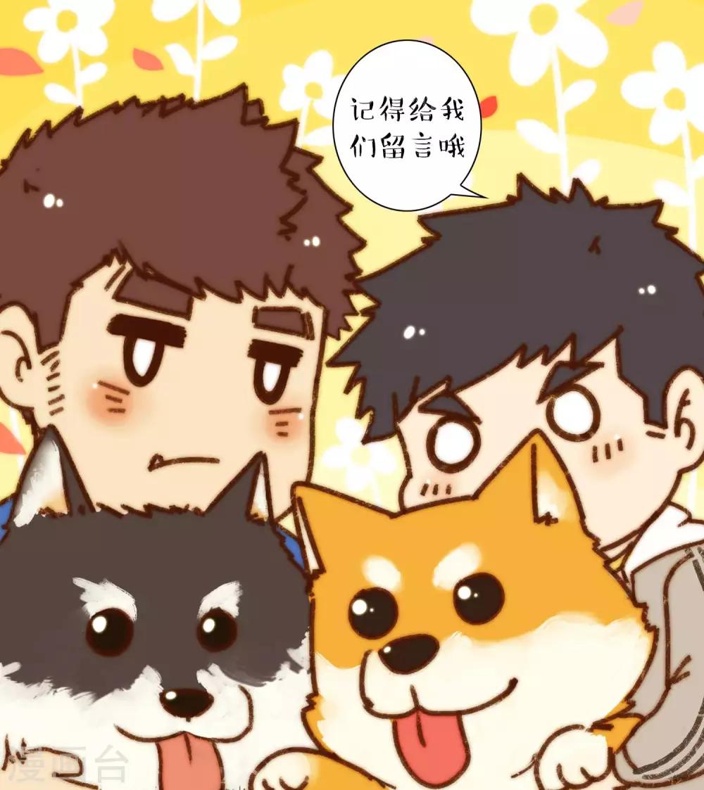 第40话 照片里的内外-第41话