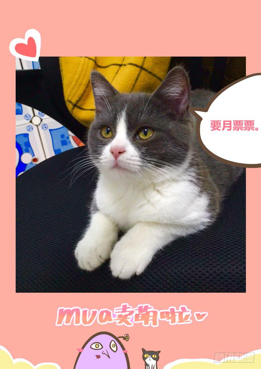 第十一话：搞事了！-第11话