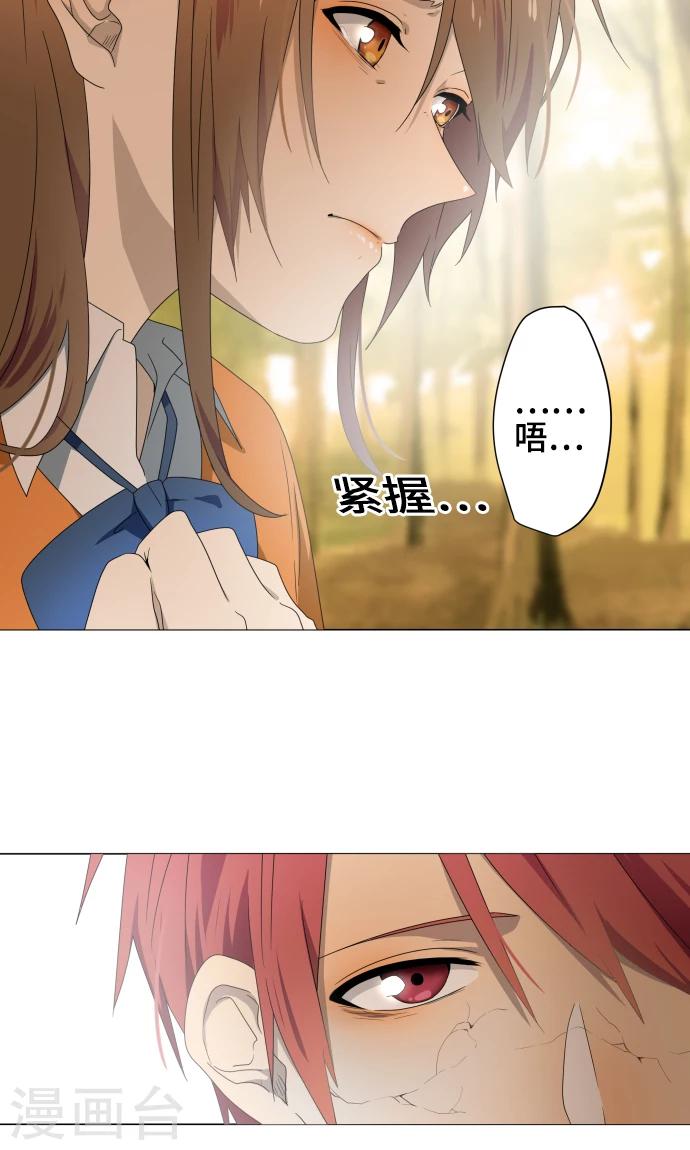 最终话 初次见面(1/2)-第37话