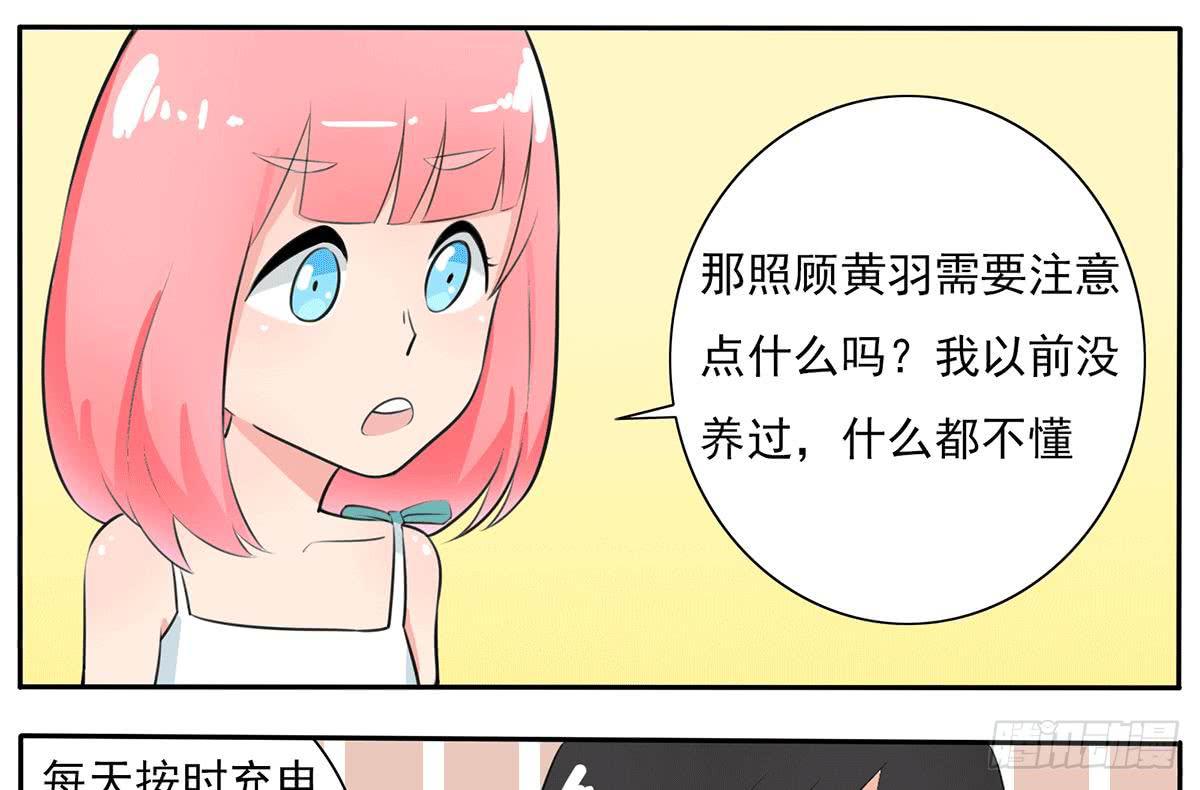 别惹我！我火气大-第15话