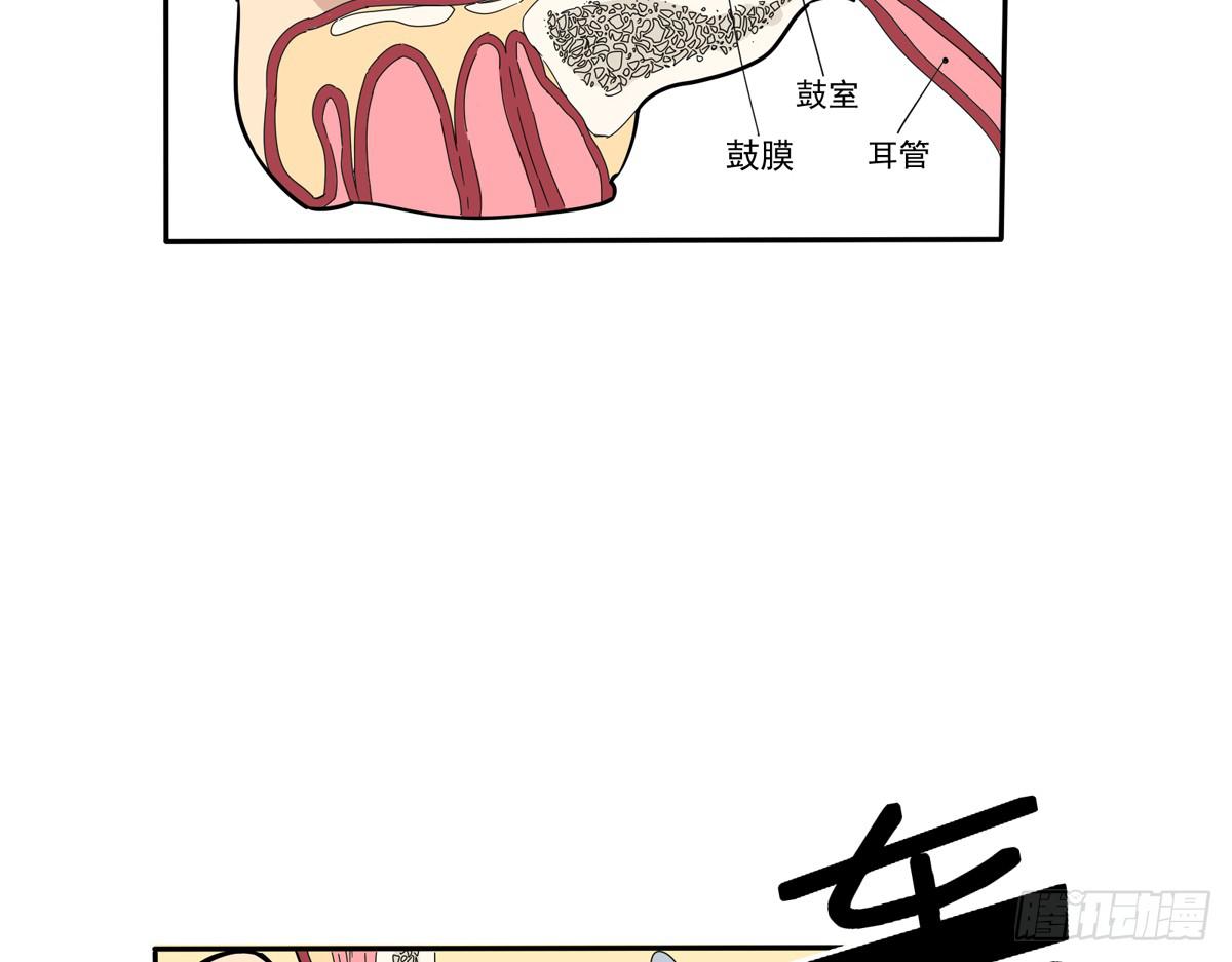 你这骗子一抓一大把(1/2)-第29话