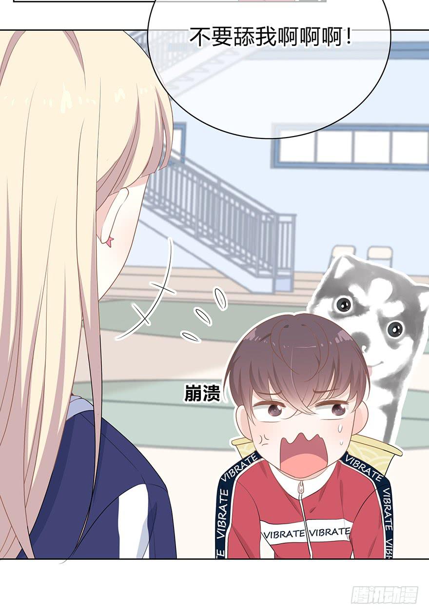 动我发型的都是小垃圾。(1/2)-第11话