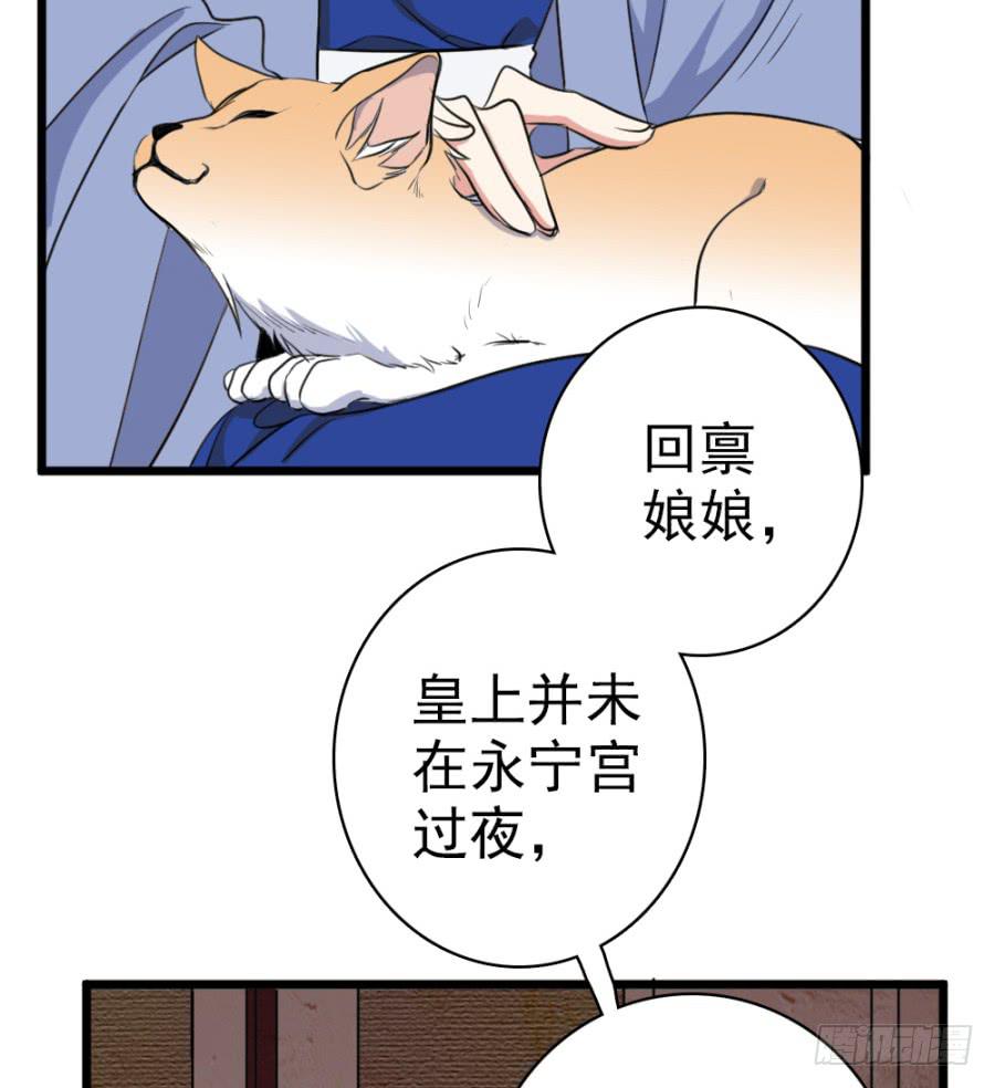 双妃传 - 第48话·洞房(1/2) - 7