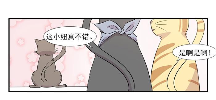 雙喵圖騰 - 第014話 - 1