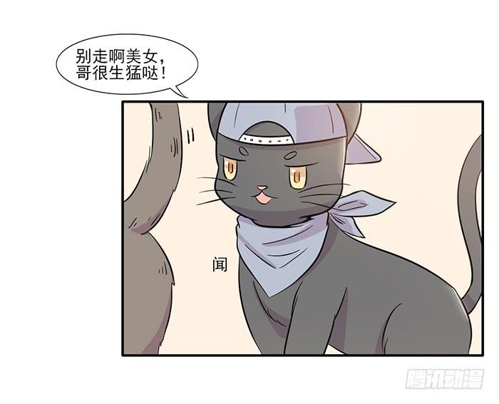 雙喵圖騰 - 第014話 - 2