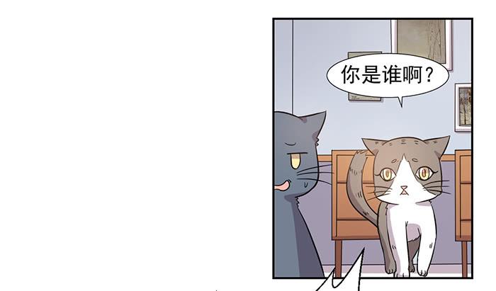 雙喵圖騰 - 第026話 - 1