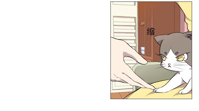 第036话(1/2)-第37话