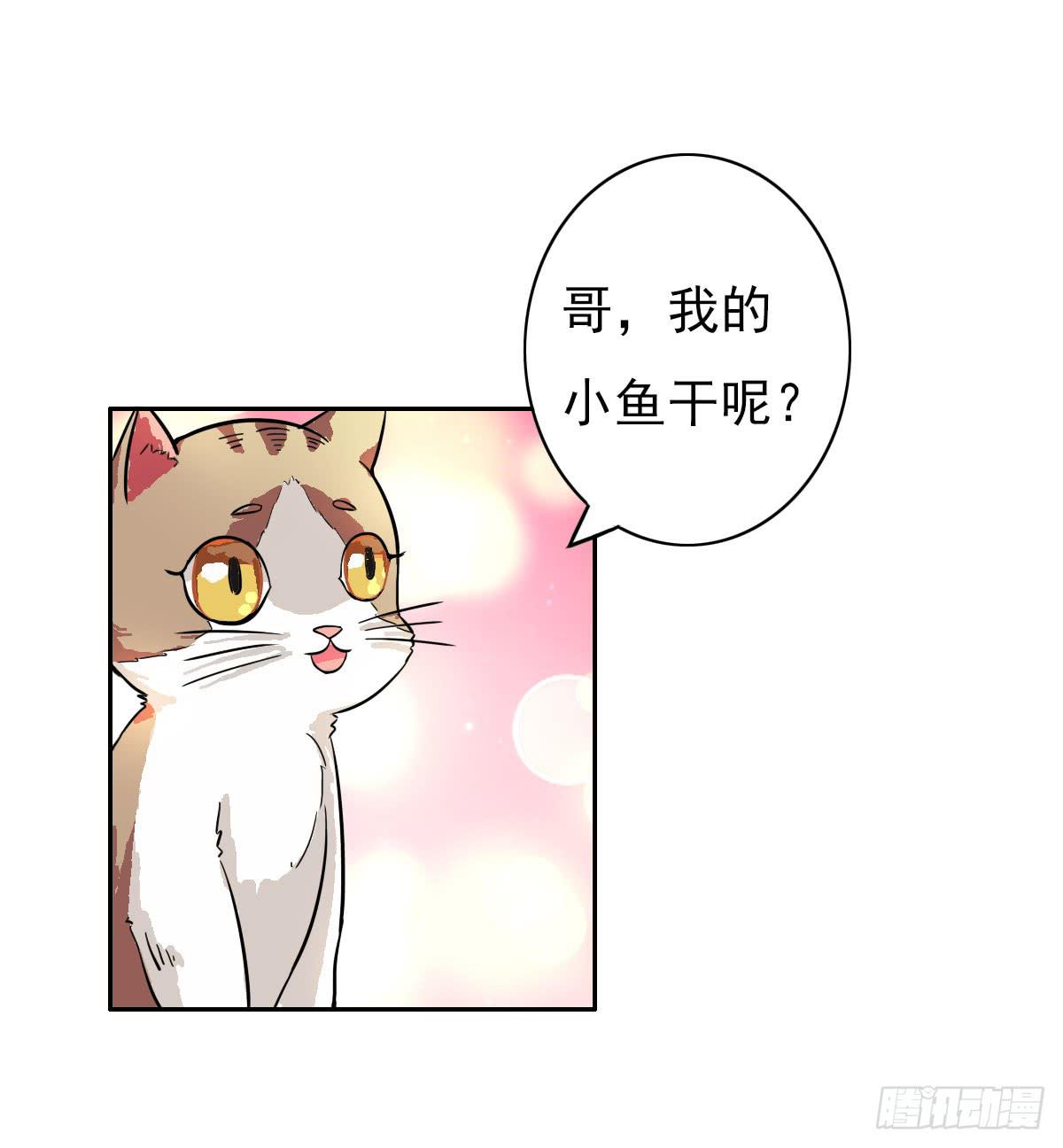 雙喵圖騰 - 第004話 - 2