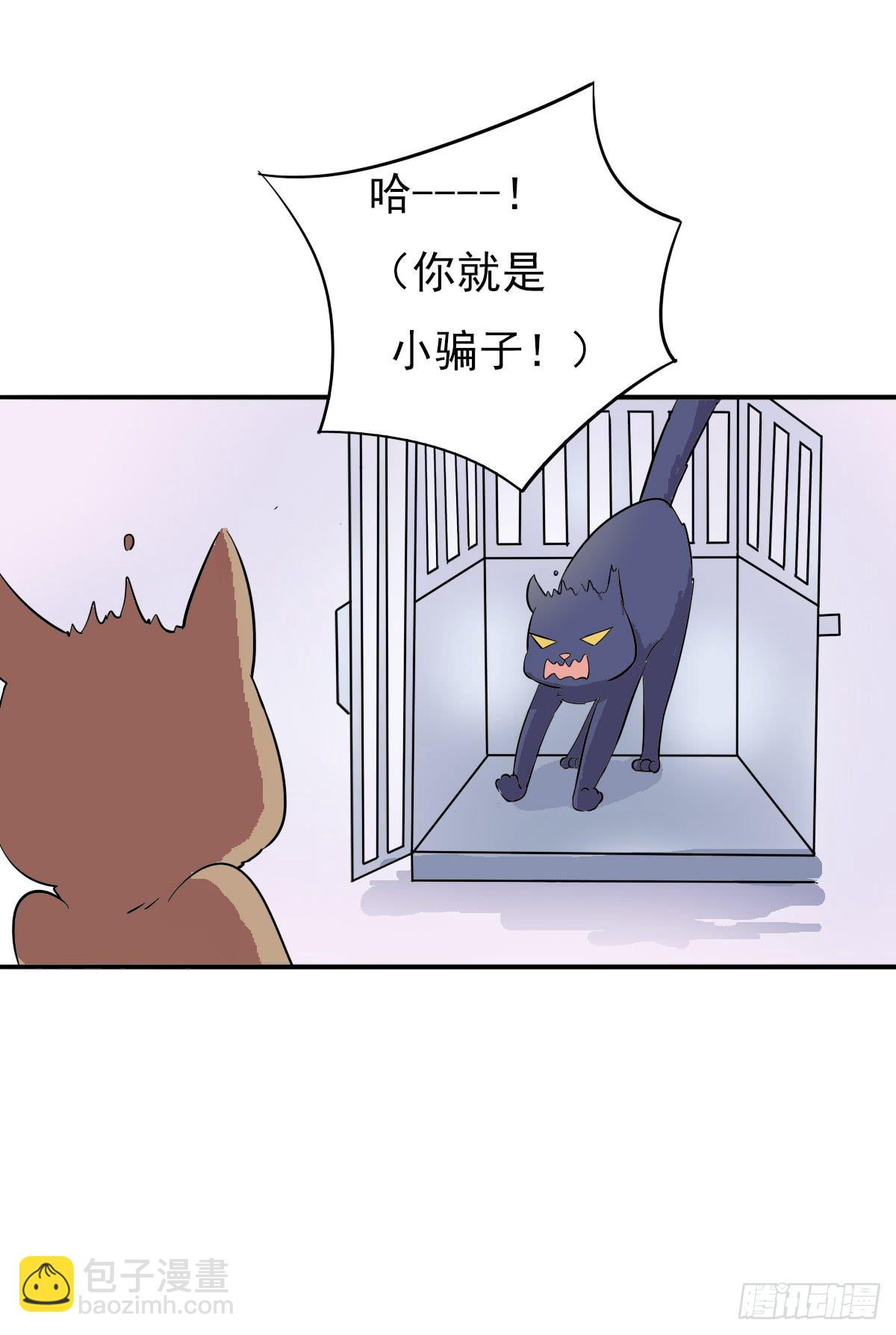 雙喵圖騰 - 第004話 - 1