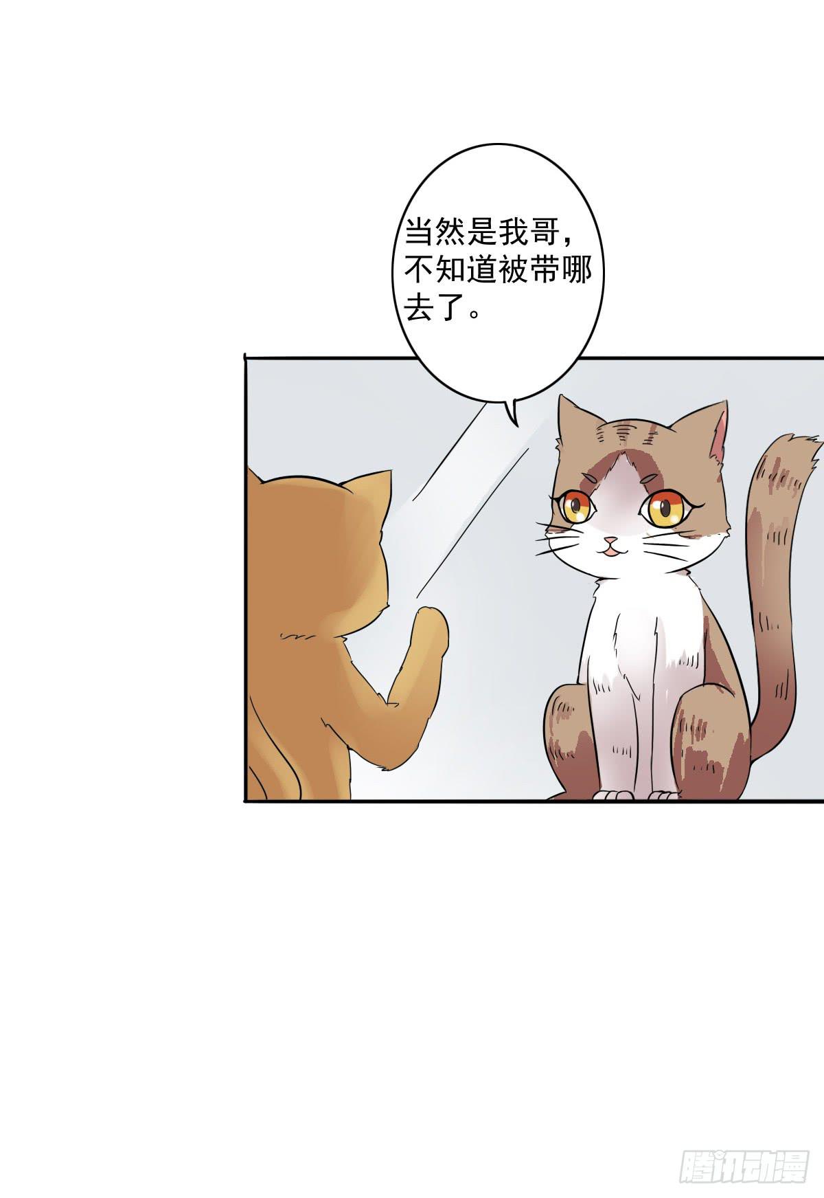 雙喵圖騰 - 第004話 - 3