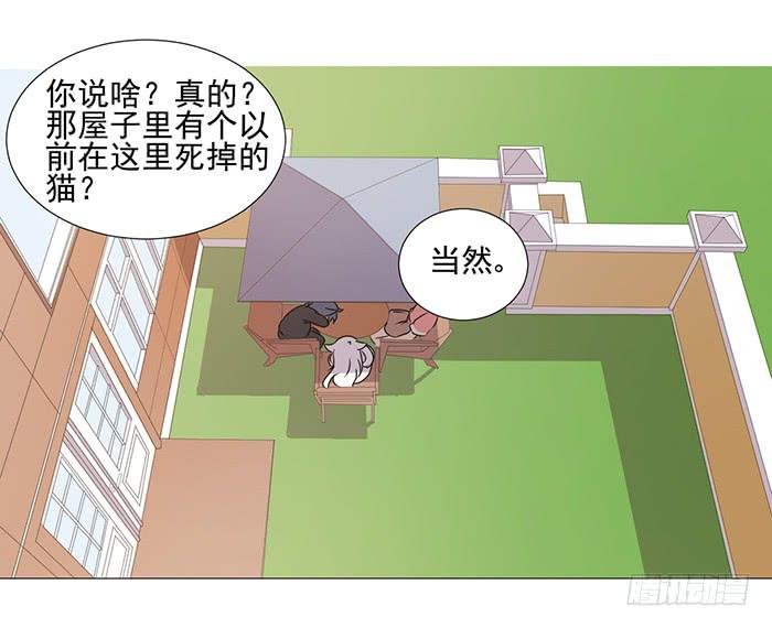 雙喵圖騰 - 第041話(1/2) - 2