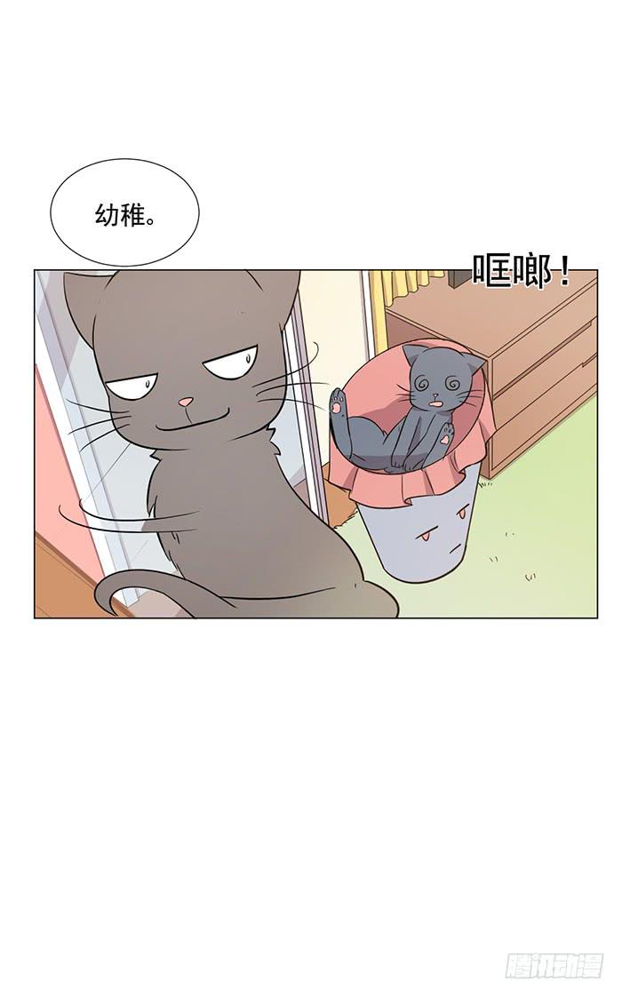 第041话(1/2)-第43话