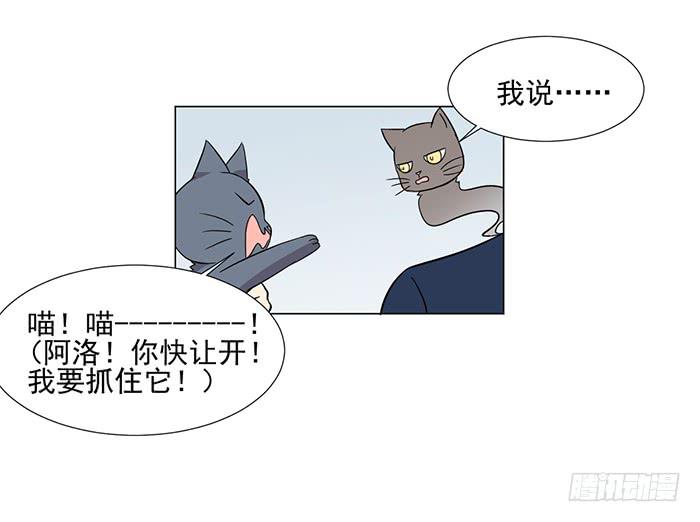 雙喵圖騰 - 第041話(1/2) - 3