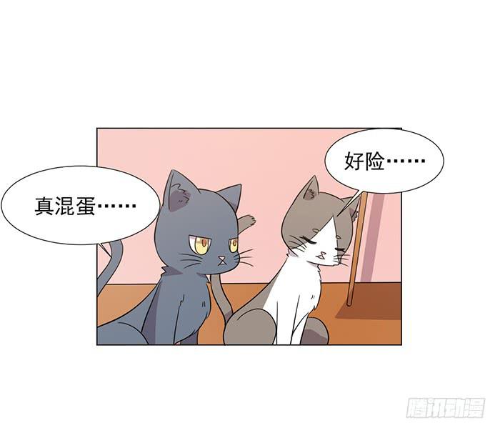 第041话(1/2)-第43话