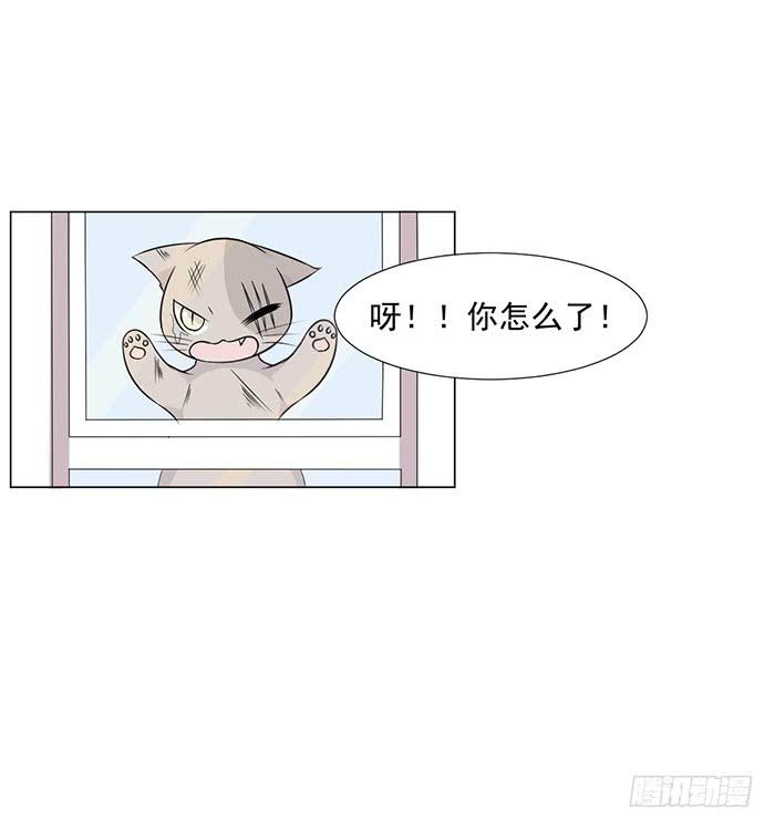 雙喵圖騰 - 第043話 - 3