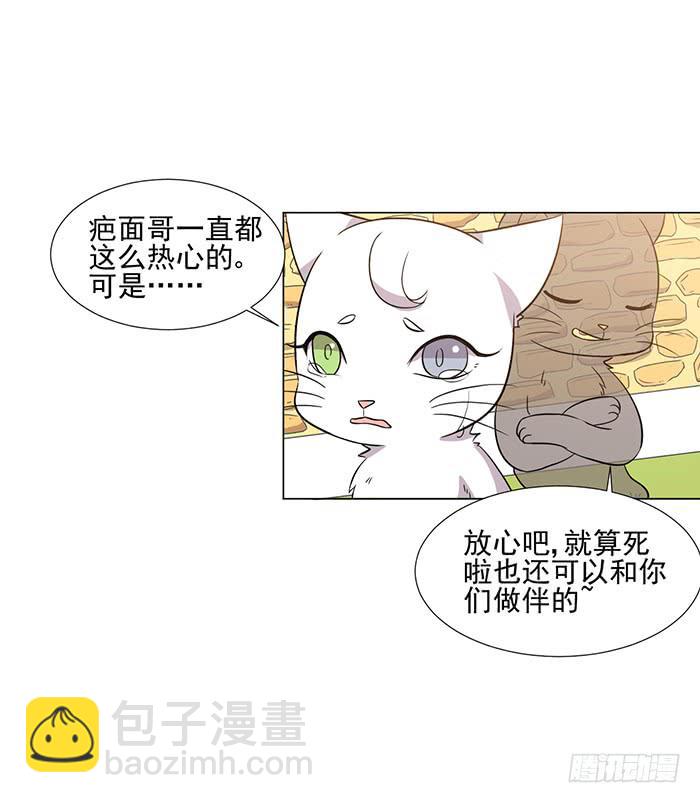 雙喵圖騰 - 第043話 - 5