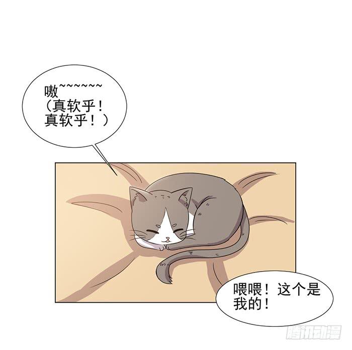 雙喵圖騰 - 第045話 - 2