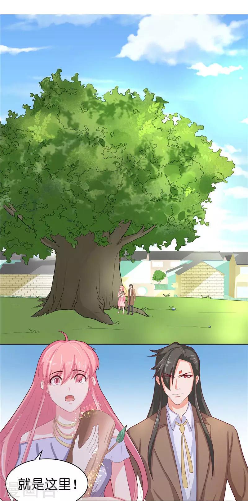第31话 树妖的孩子-第31话