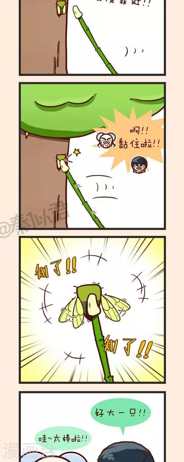 第37话  捉知了-第37话