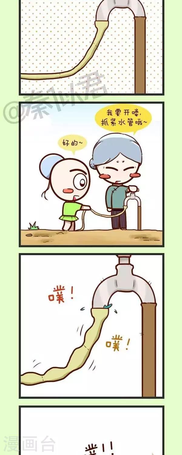 第45话  种青菜-第45话