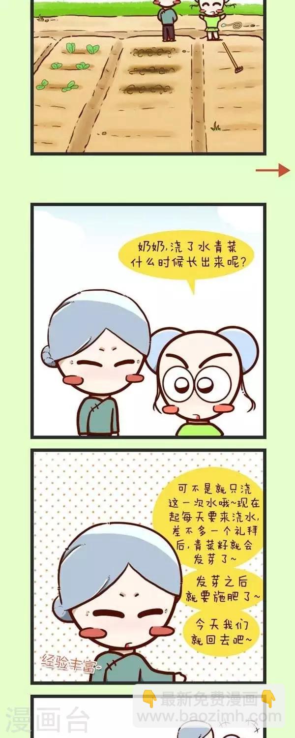 第45话  种青菜-第45话