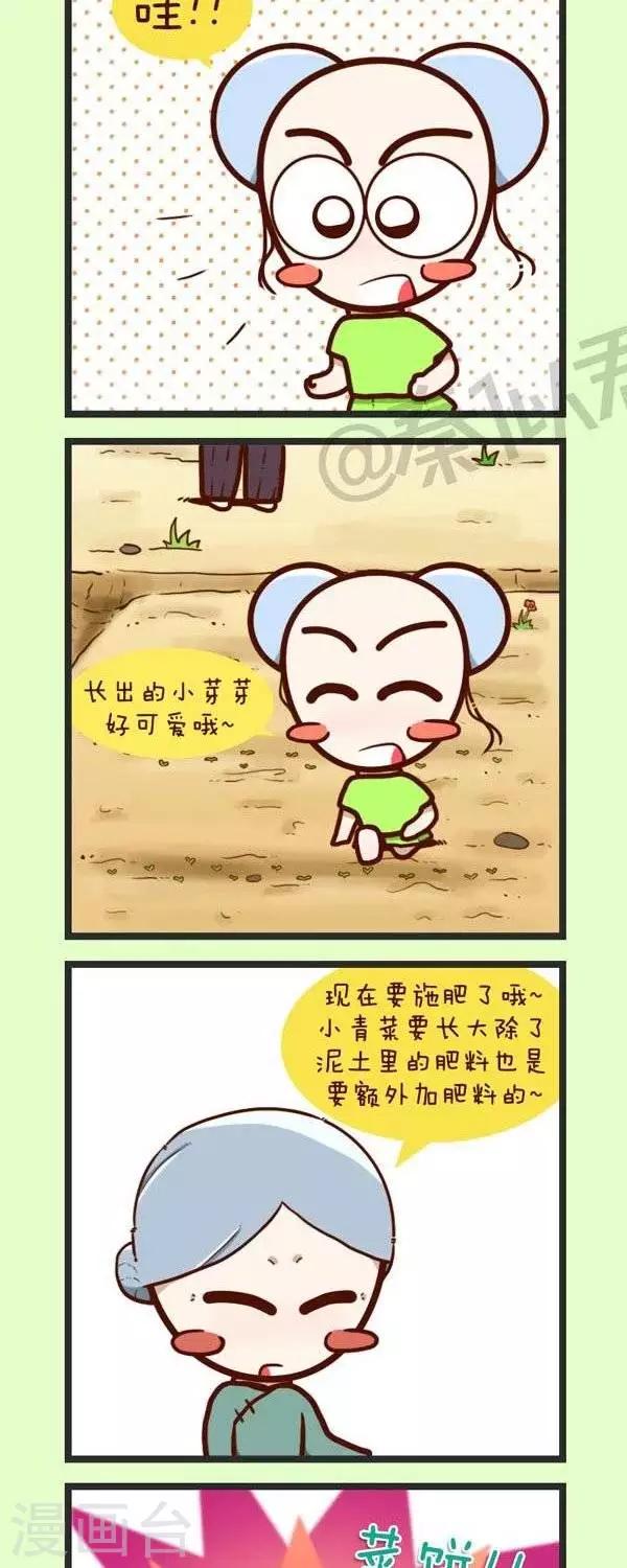 第45话  种青菜-第45话