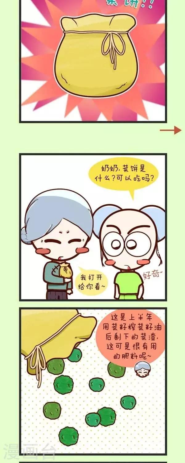 第45话  种青菜-第45话