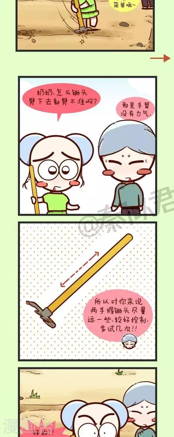 第45话  种青菜-第45话