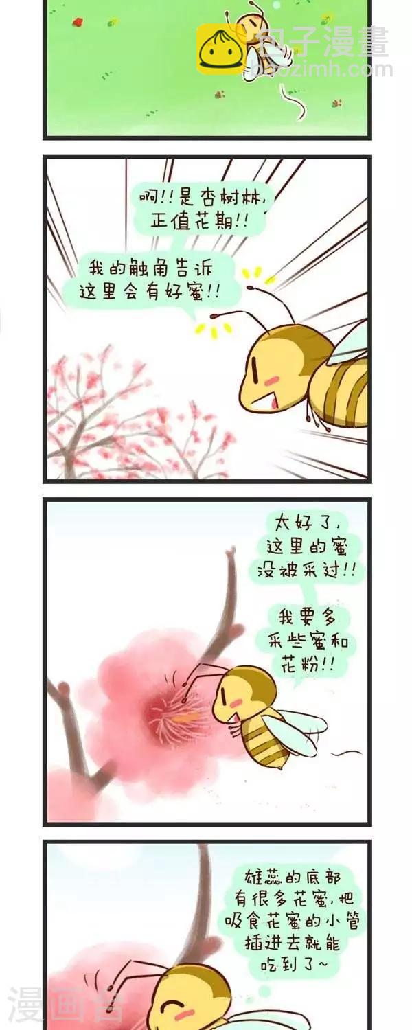 第61话  采花蜜-第61话