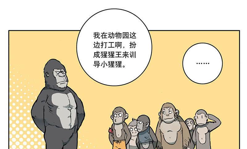 08 动物园-第11话