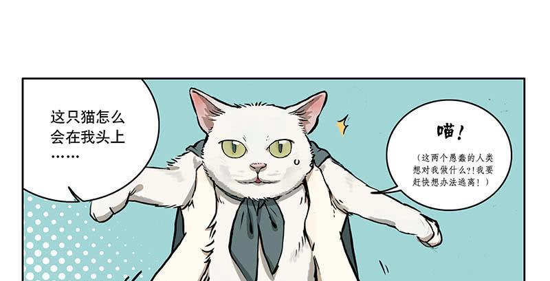 22 猫奴-第21话