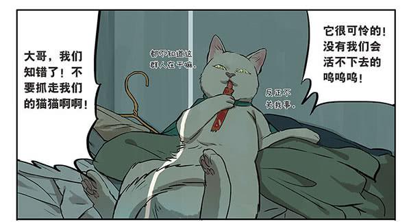 32 猫猫宿舍大检查-第31话