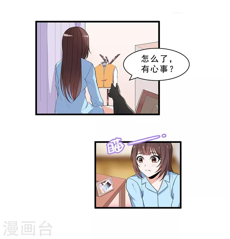 第4话 危机！不许养猫？-第5话