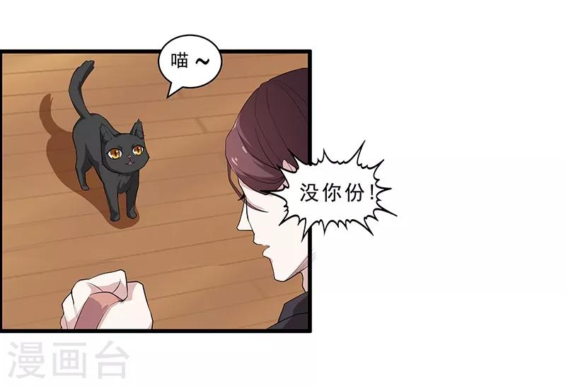 第4话 危机！不许养猫？-第5话