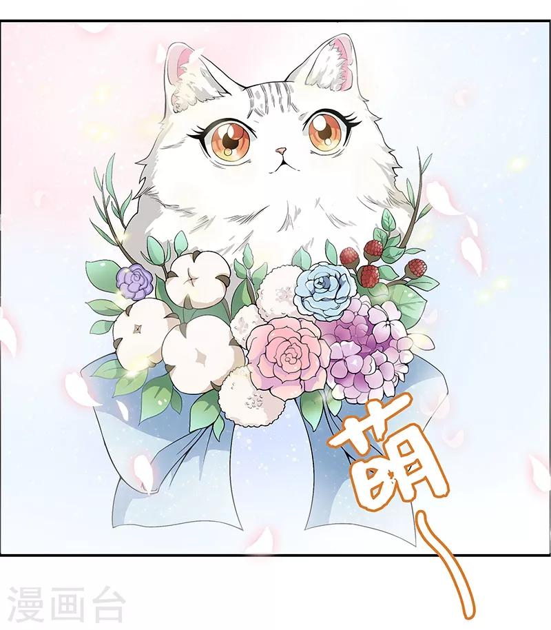 第6话 这是只有想法的猫-第7话