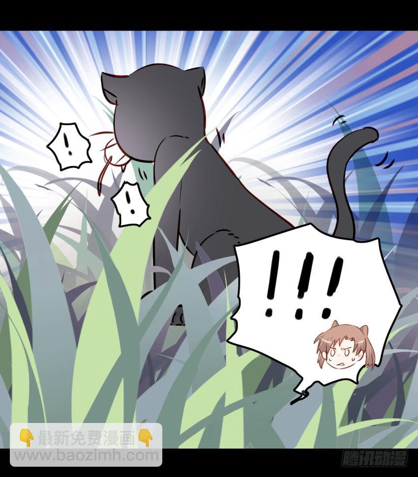 第14话 往事如烟，浅笑而安 下-第33话